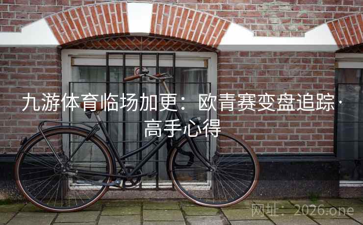 九游体育临场加更:欧青赛变盘追踪·高手心得 九游体育临场加更:欧青赛变盘追踪·高手心得