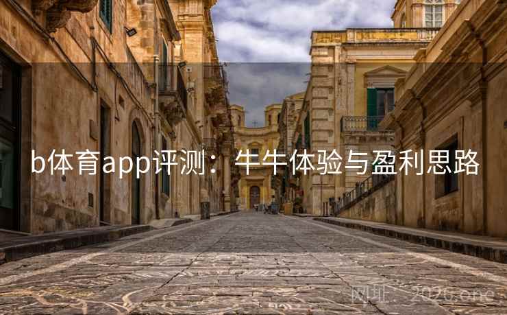 b体育app评测：牛牛体验与盈利思路