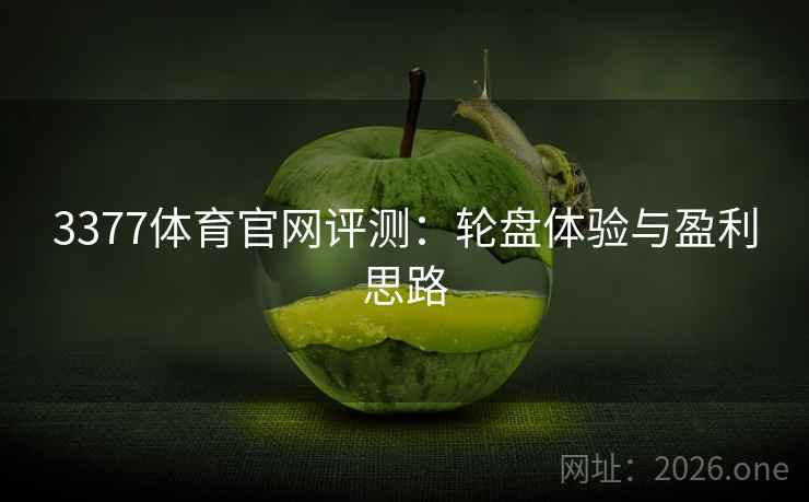 3377体育官网评测：轮盘体验与盈利思路